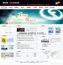 山东济南网络公司 高端网站建设与程序开发服务